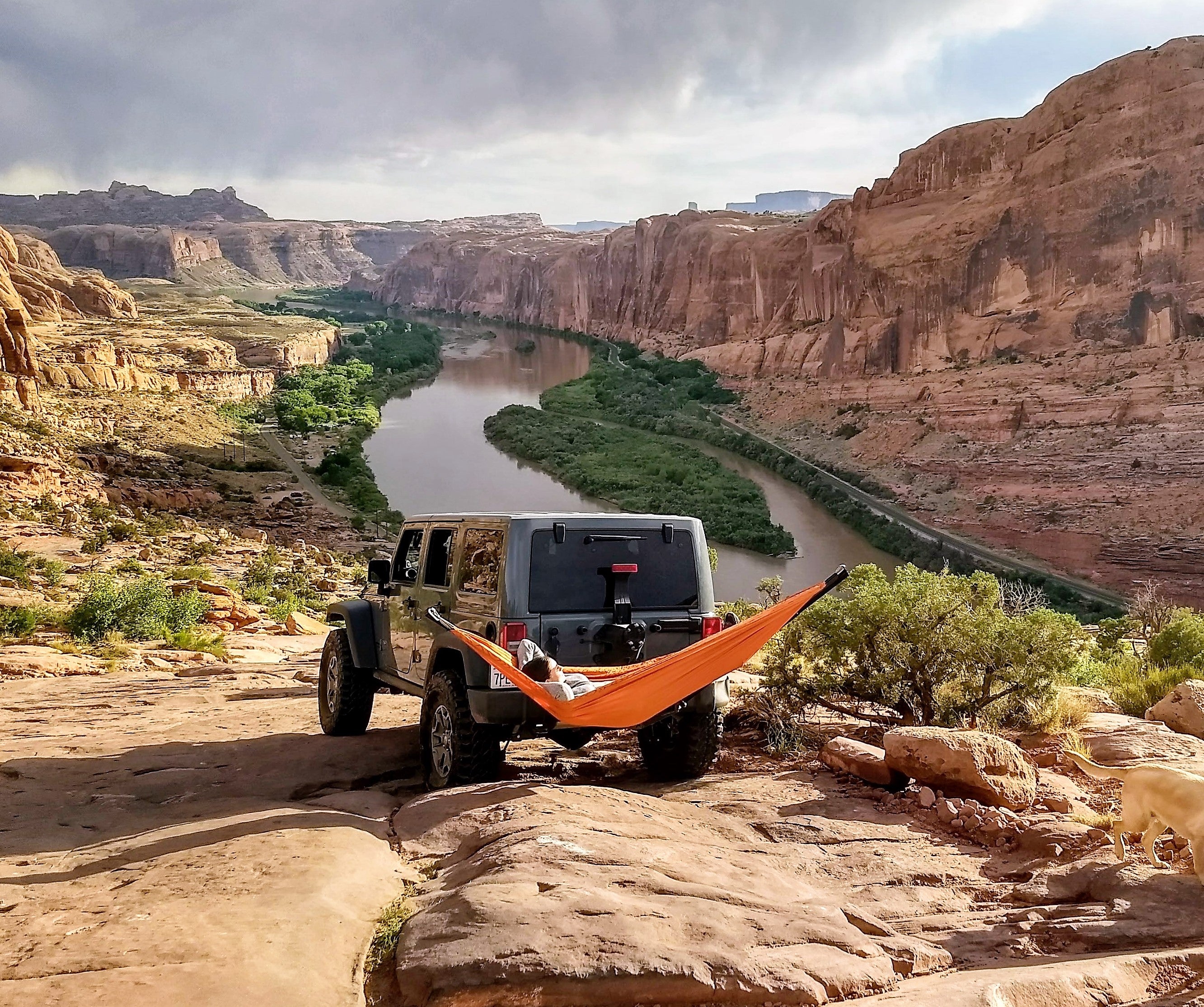 Hammock Mount – Strong & Long-Lasting Design