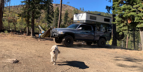 Truck with a hammock mount and camper shell parked in a forest with a dog in the foreground.